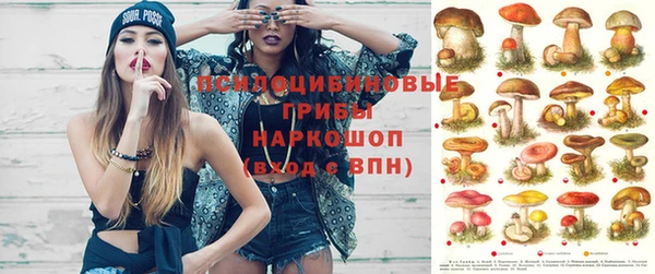 круглые Козельск
